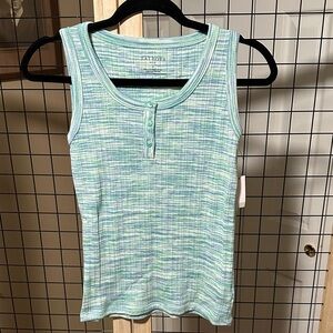 Talbots Mint and Blue Striped Tank Top